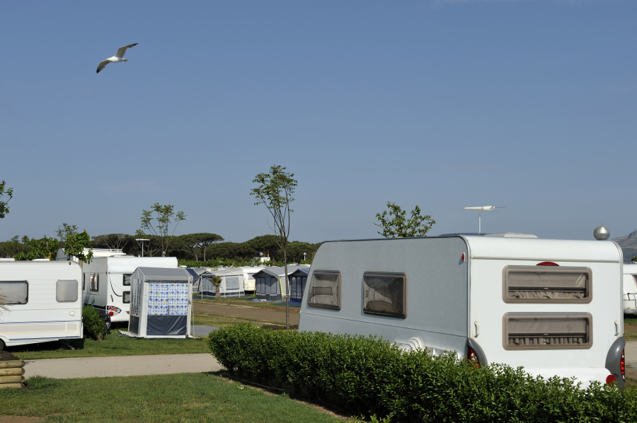 aire de camping calvi 